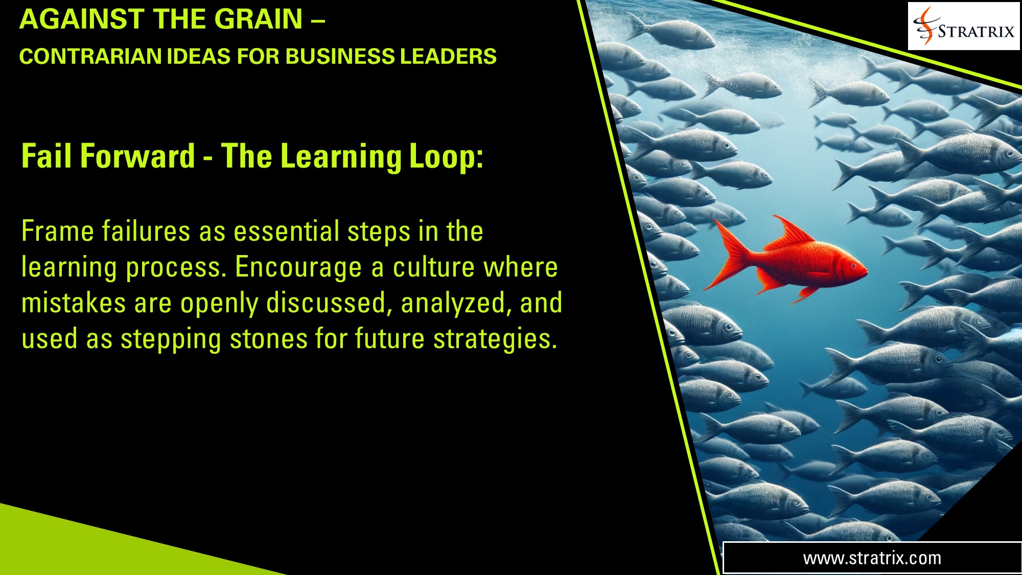 Fail Forward - The Learning Loop