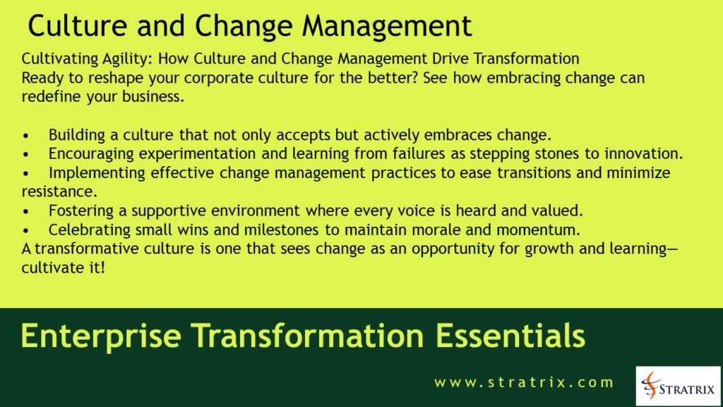 Culture and Change Management