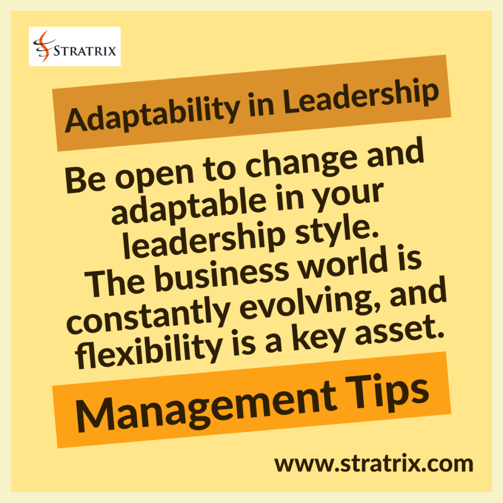 Adaptability in Leadership