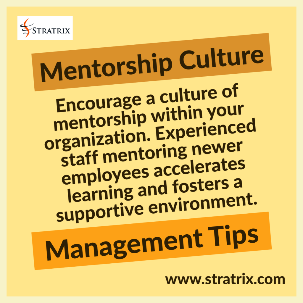 Mentorship Culture