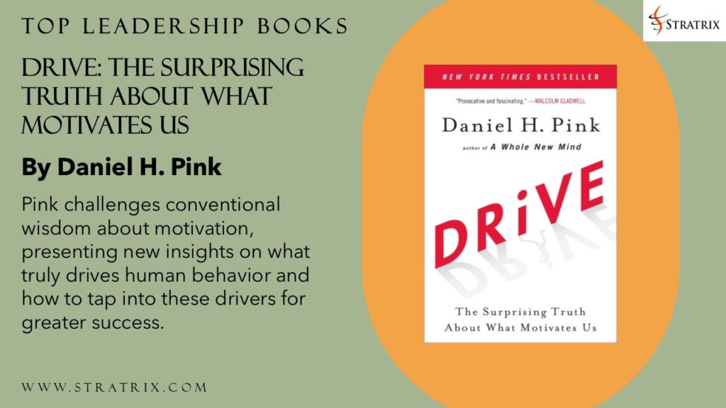 Drive: The Surprising Truth About What Motivates Us by Daniel H. Pink